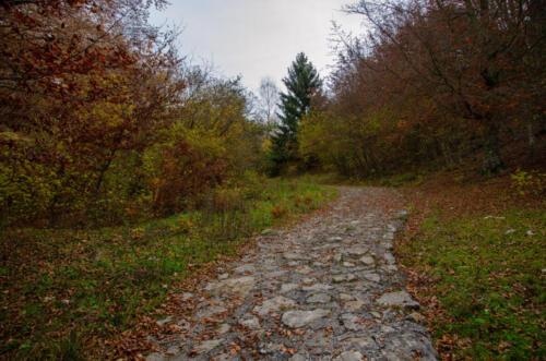 Monte Baldo
