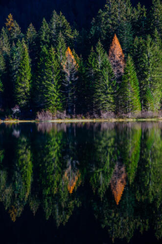 Lago di Tovel