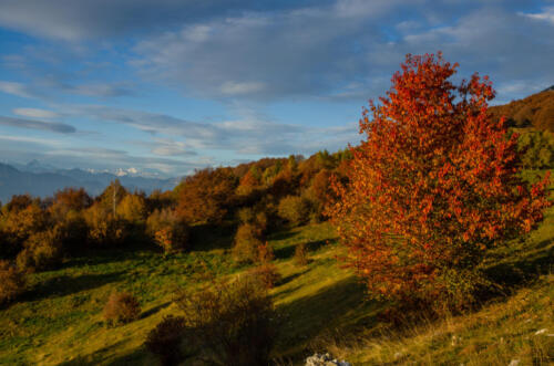 Monte Baldo