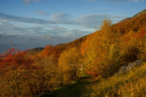 Monte Baldo